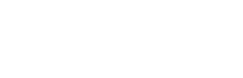 Pepper Studio logo